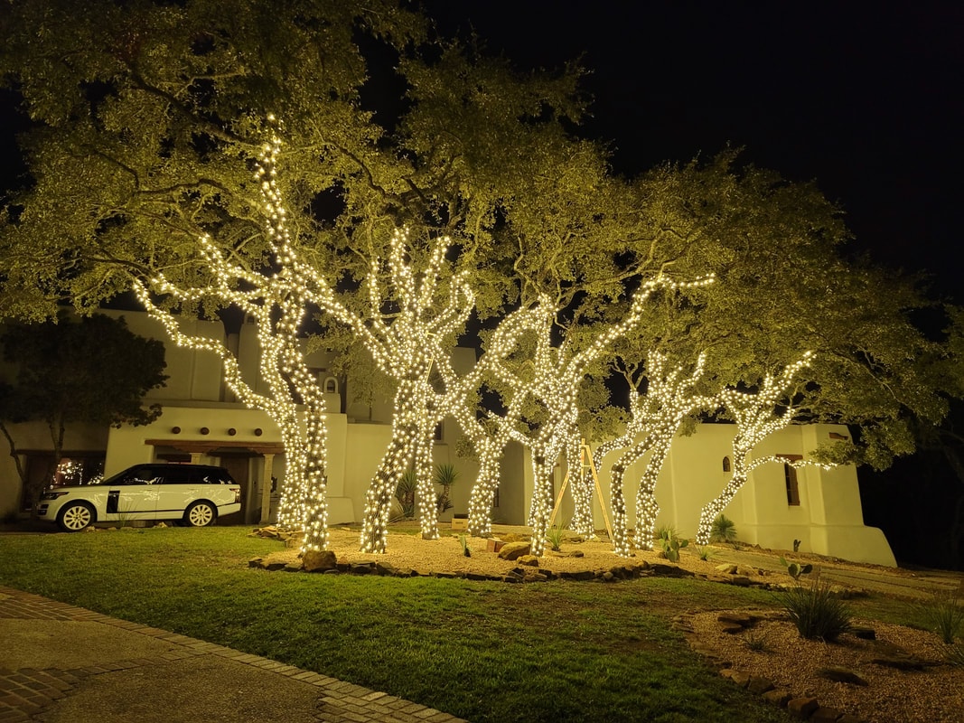 Mature Texas Hill Country trees wrapped in warm white holiday lights